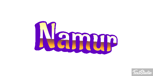 Namur Efekt tekstowy